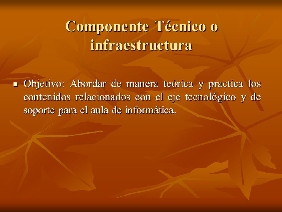 Componente Técnico o infraestructura