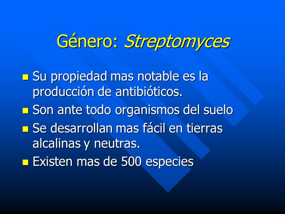 Género: Streptomyces Su propiedad mas notable es la producción de antibióticos. Son ante todo organismos del suelo.