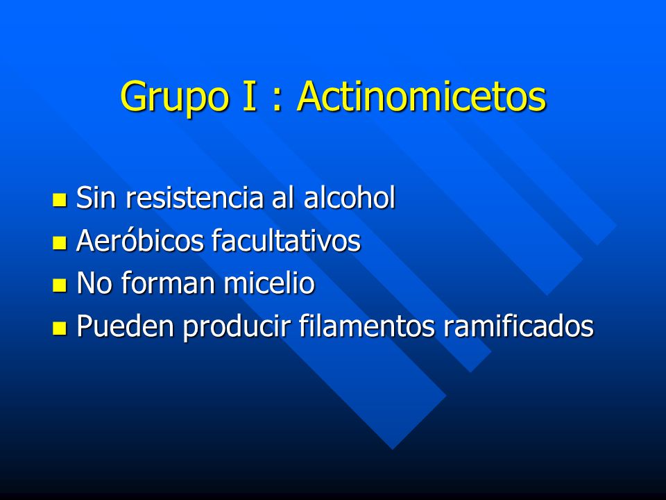 Grupo I : Actinomicetos