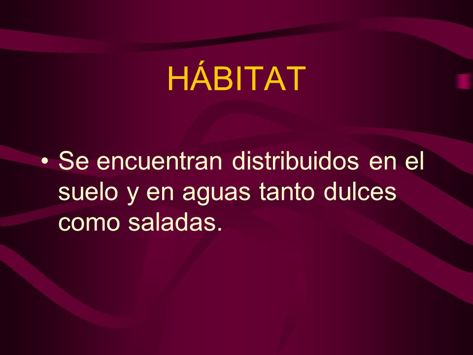 HÁBITAT Se encuentran distribuidos en el suelo y en aguas tanto dulces como saladas. 7