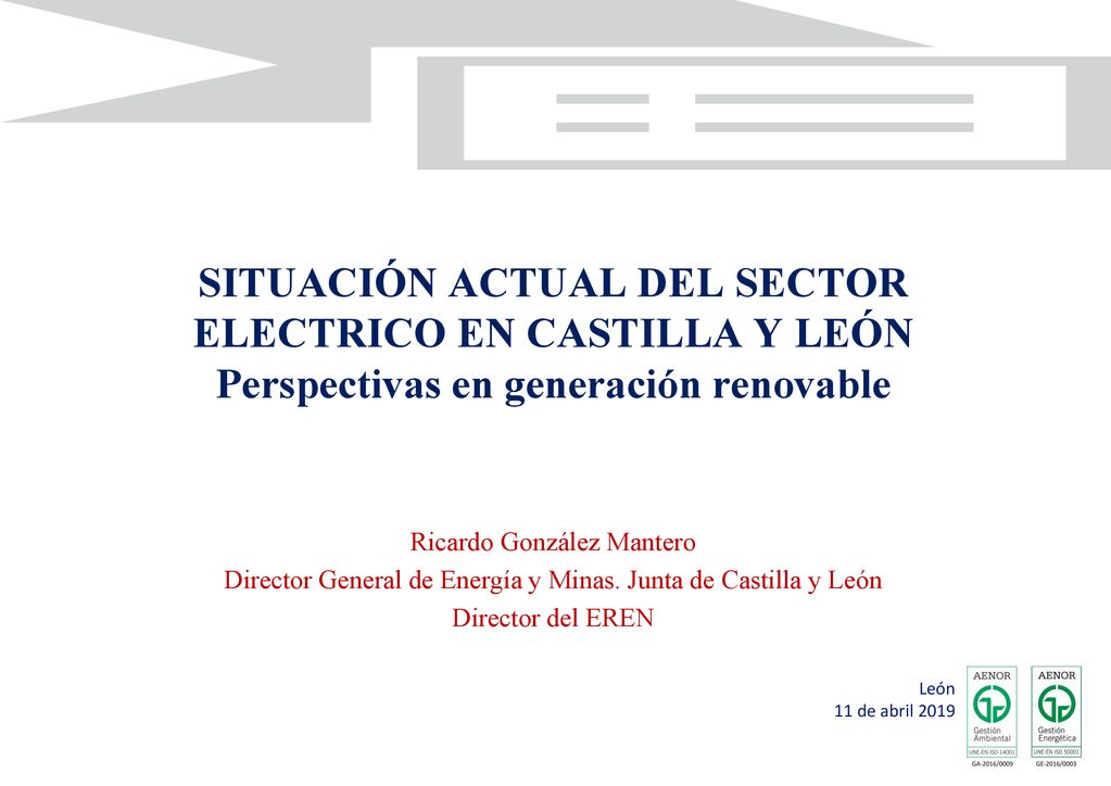SITUACIÓN ACTUAL DEL SECTOR ELECTRICO EN CASTILLA Y LEÓN Perspectivas en generación renovable