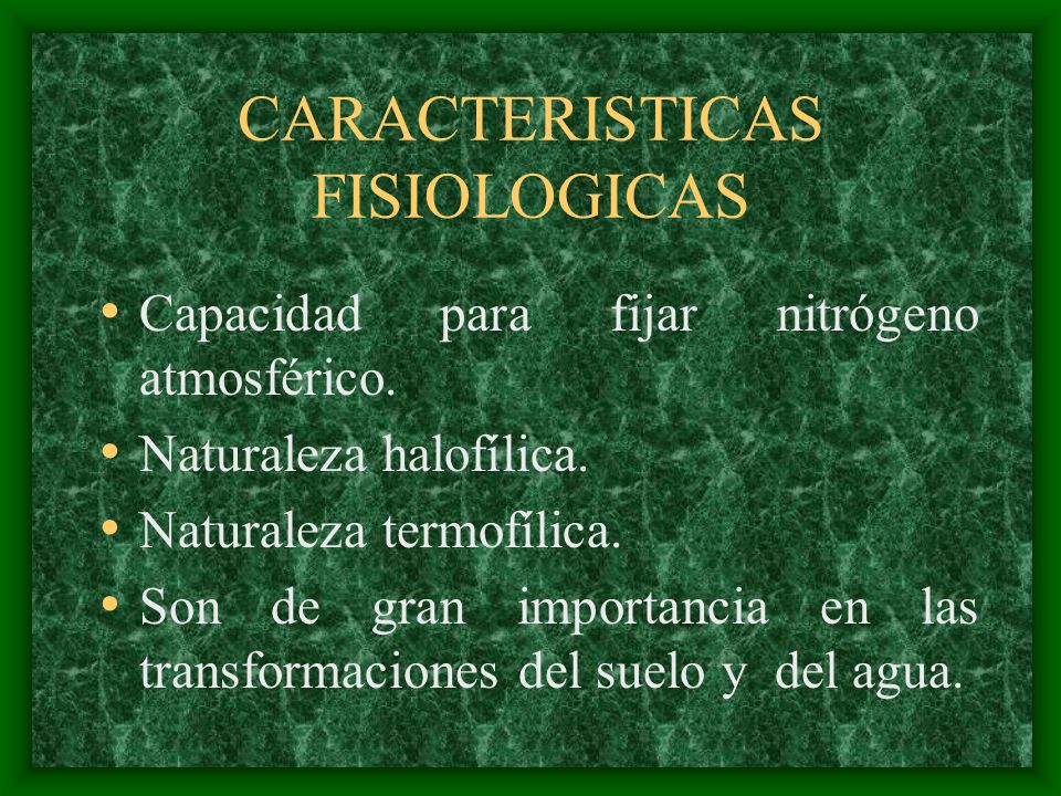 CARACTERISTICAS FISIOLOGICAS