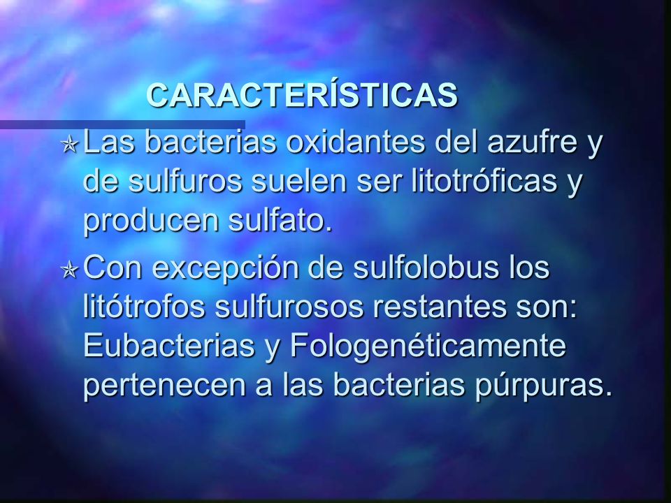 CARACTERÍSTICAS Las bacterias oxidantes del azufre y de sulfuros suelen ser litotróficas y producen sulfato.
