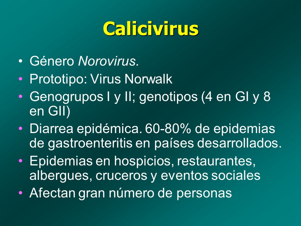Calicivirus Género Norovirus. Prototipo: Virus Norwalk