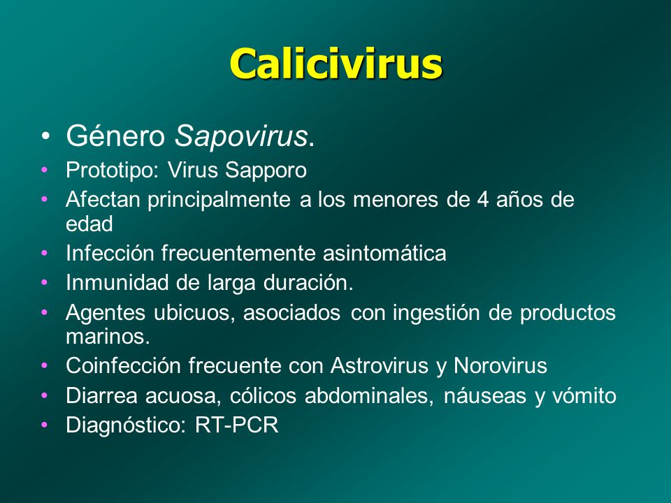 Calicivirus Género Sapovirus. Prototipo: Virus Sapporo