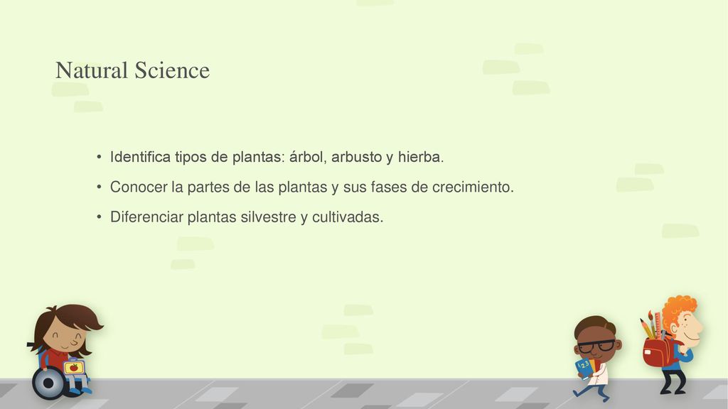 Natural Science Identifica tipos de plantas: árbol, arbusto y hierba.
