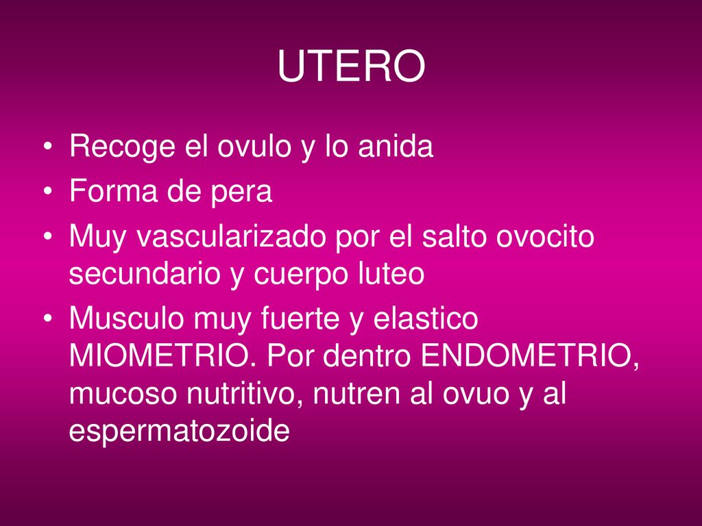 UTERO Recoge el ovulo y lo anida Forma de pera