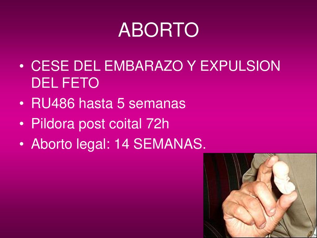 ABORTO CESE DEL EMBARAZO Y EXPULSION DEL FETO RU486 hasta 5 semanas
