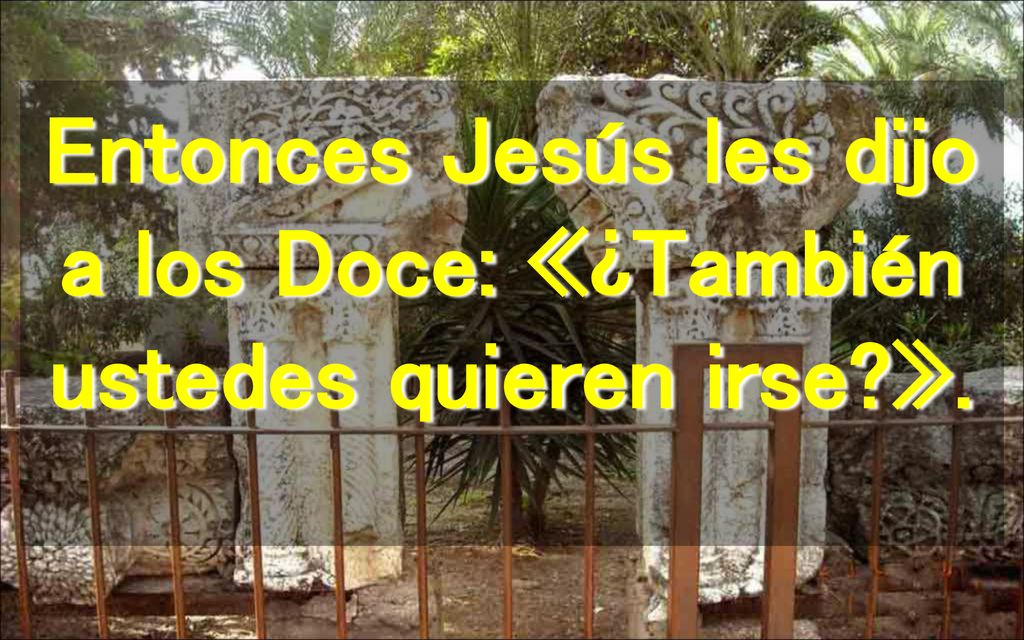 Entonces Jesús les dijo a los Doce: «¿También ustedes quieren irse ».