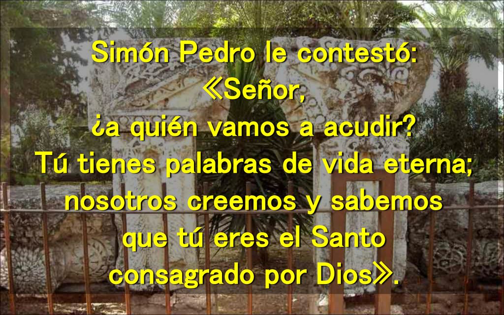 Simón Pedro le contestó: «Señor, ¿a quién vamos a acudir