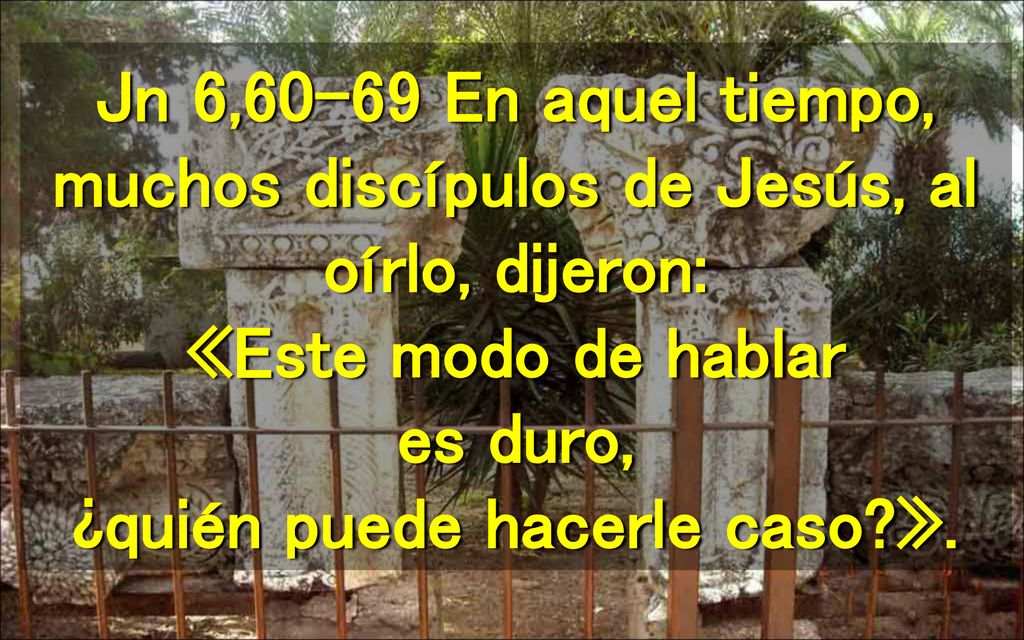 Jn 6,60-69 En aquel tiempo, muchos discípulos de Jesús, al oírlo, dijeron: «Este modo de hablar es duro, ¿quién puede hacerle caso ».