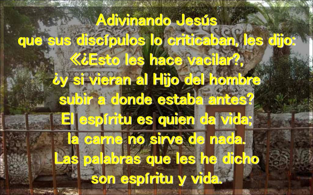 Adivinando Jesús que sus discípulos lo criticaban, les dijo: «¿Esto les hace vacilar , ¿y si vieran al Hijo del hombre subir a donde estaba antes.