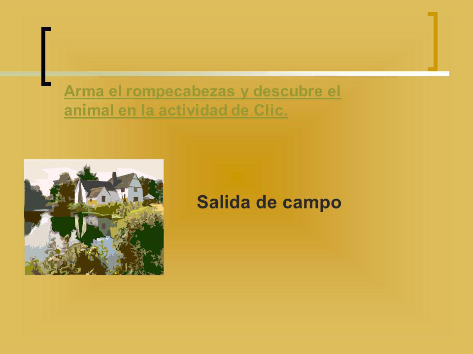Arma el rompecabezas y descubre el animal en la actividad de Clic.