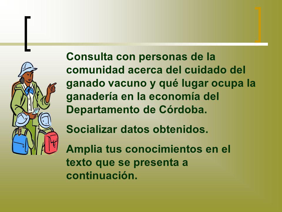 Consulta con personas de la comunidad acerca del cuidado del ganado vacuno y qué lugar ocupa la ganadería en la economía del Departamento de Córdoba.