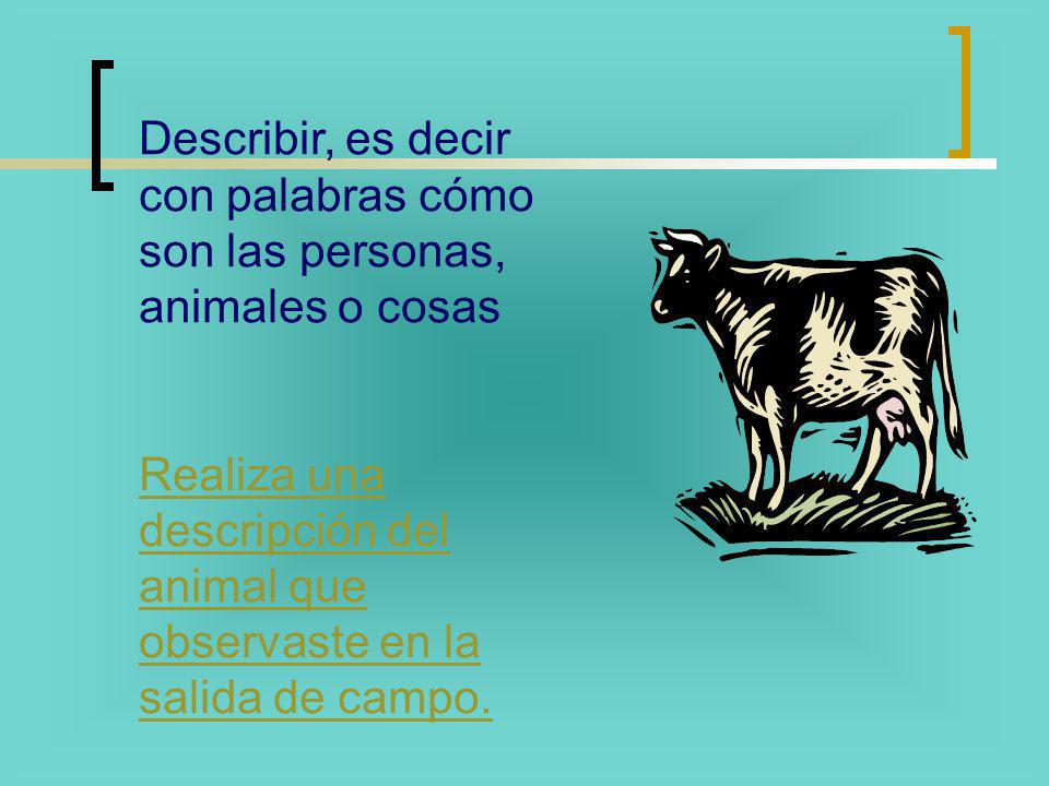 Describir, es decir con palabras cómo son las personas, animales o cosas