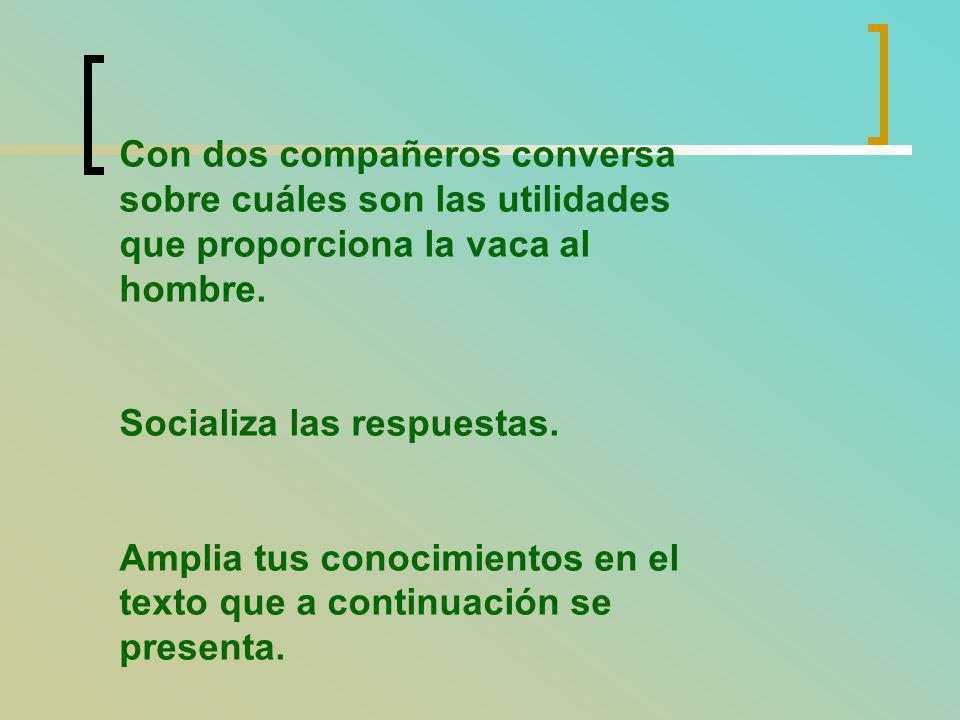 Con dos compañeros conversa sobre cuáles son las utilidades que proporciona la vaca al hombre.