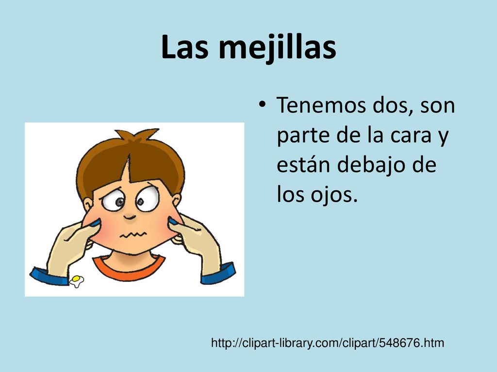 Las mejillas Tenemos dos, son parte de la cara y están debajo de los ojos.