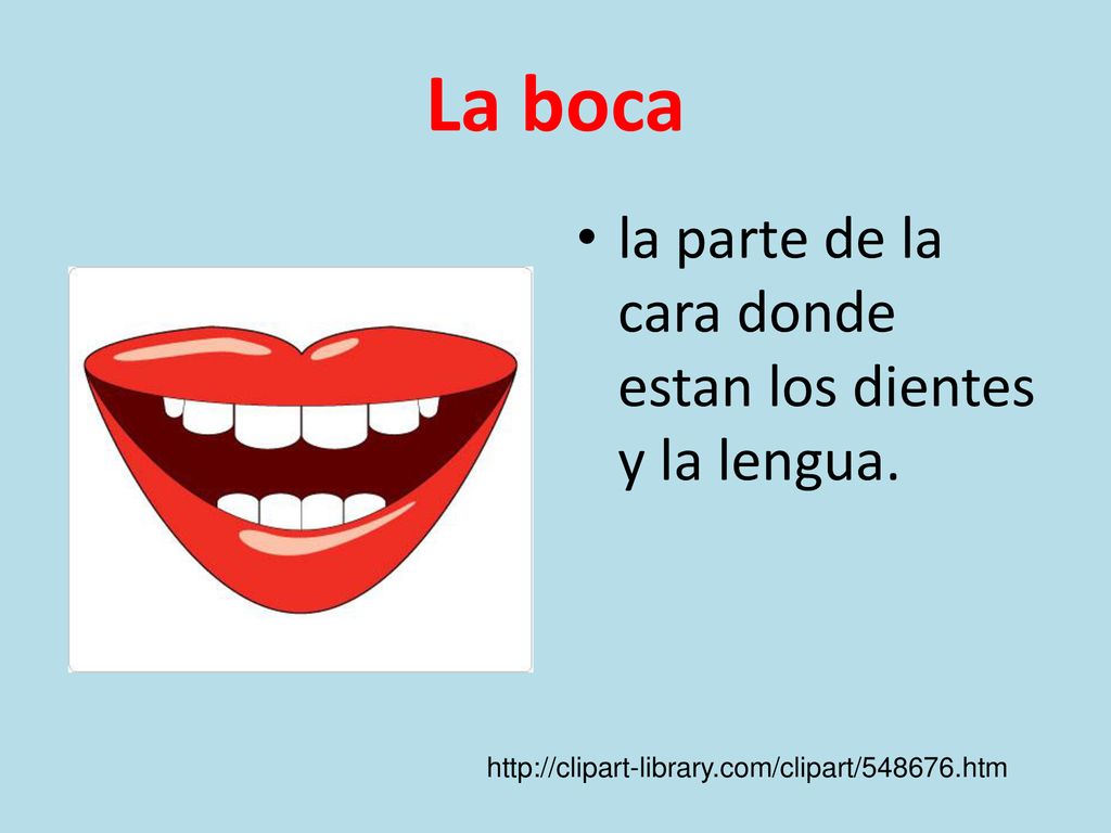 La boca la parte de la cara donde estan los dientes y la lengua.