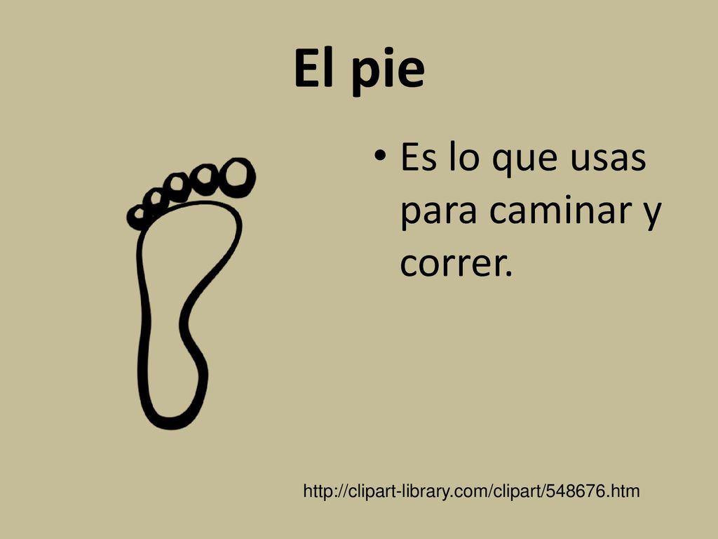 El pie Es lo que usas para caminar y correr.