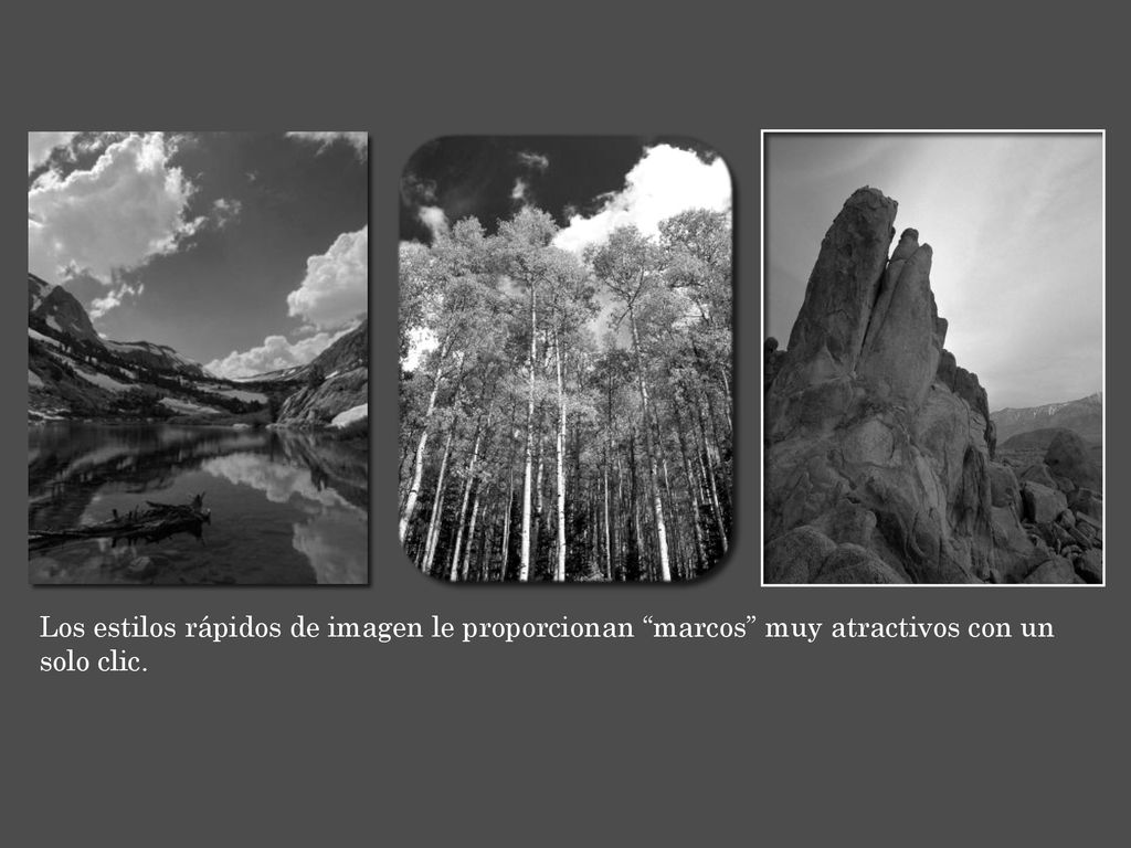 Los estilos rápidos de imagen le proporcionan marcos muy atractivos con un solo clic.