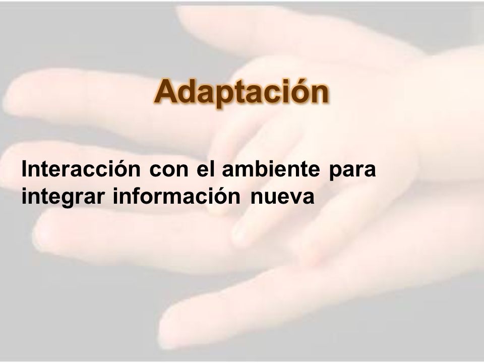 Adaptación Interacción con el ambiente para integrar información nueva