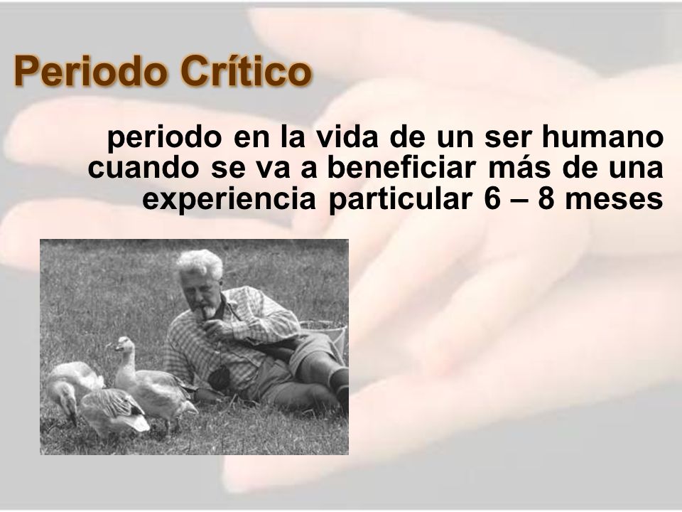 Periodo Crítico periodo en la vida de un ser humano cuando se va a beneficiar más de una experiencia particular 6 – 8 meses.