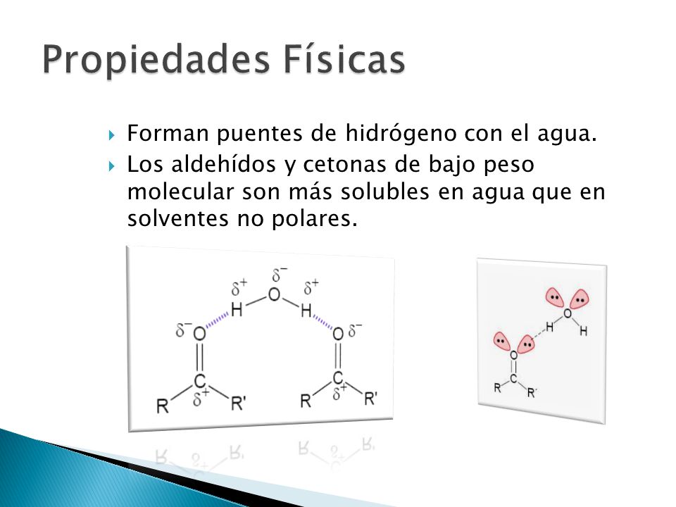 Propiedades Físicas Forman puentes de hidrógeno con el agua.