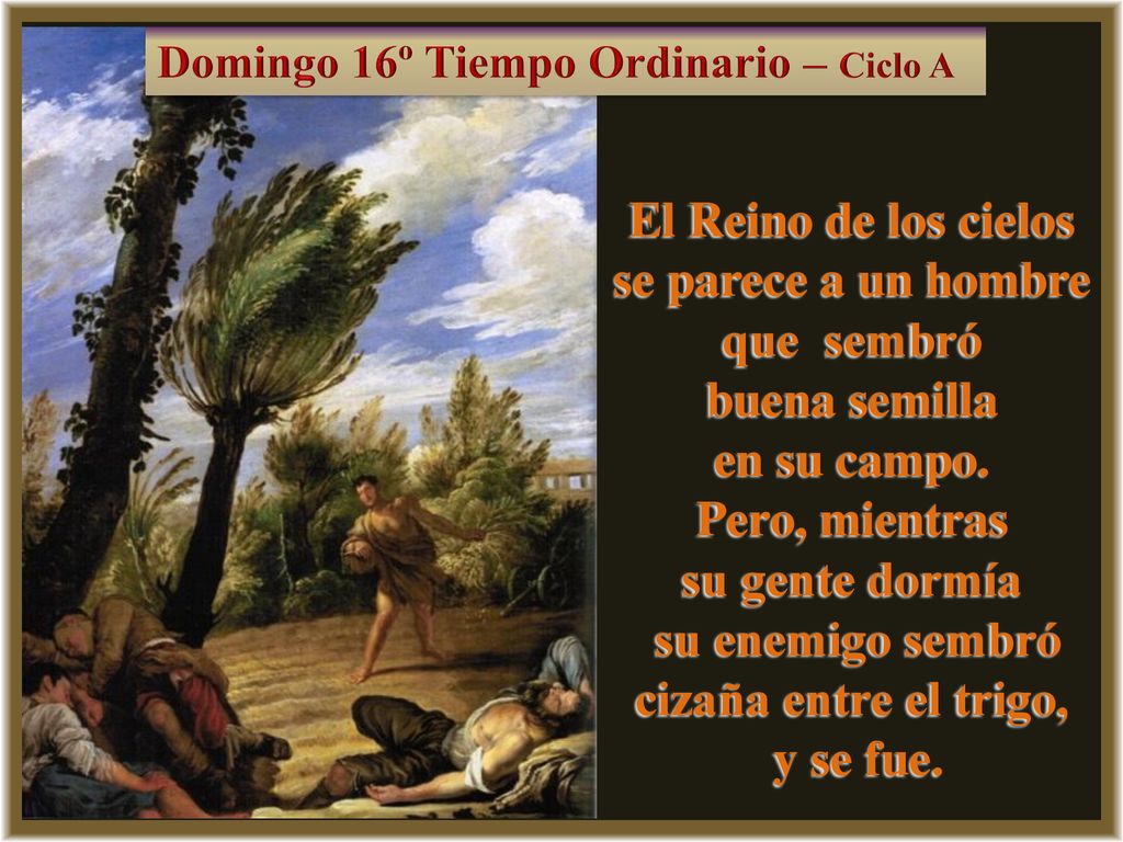El Reino de los cielos se parece a un hombre que sembró