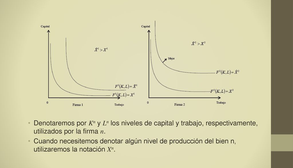 Denotaremos por Kn y Ln los niveles de capital y trabajo, respectivamente, utilizados por la firma n.