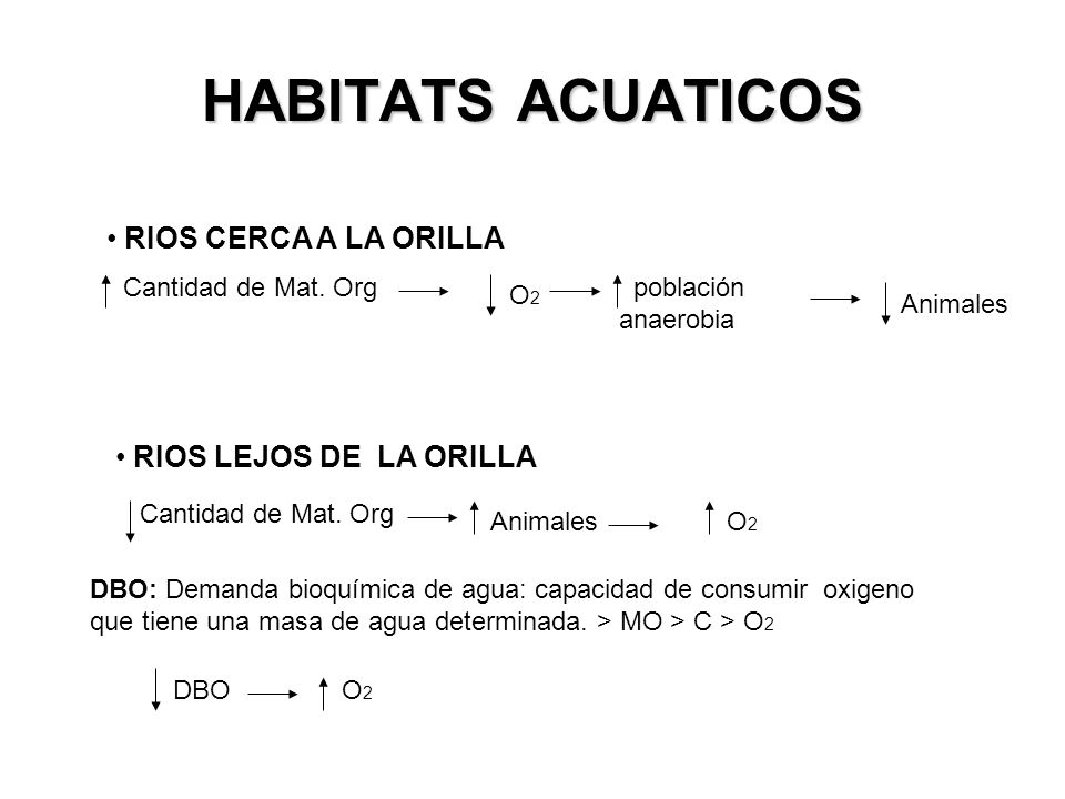 HABITATS ACUATICOS RIOS CERCA A LA ORILLA RIOS LEJOS DE LA ORILLA