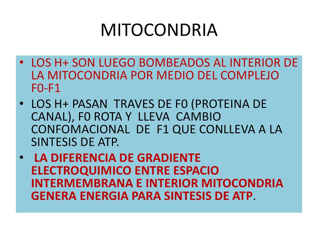 MITOCONDRIA LOS H+ SON LUEGO BOMBEADOS AL INTERIOR DE LA MITOCONDRIA POR MEDIO DEL COMPLEJO F0-F1.