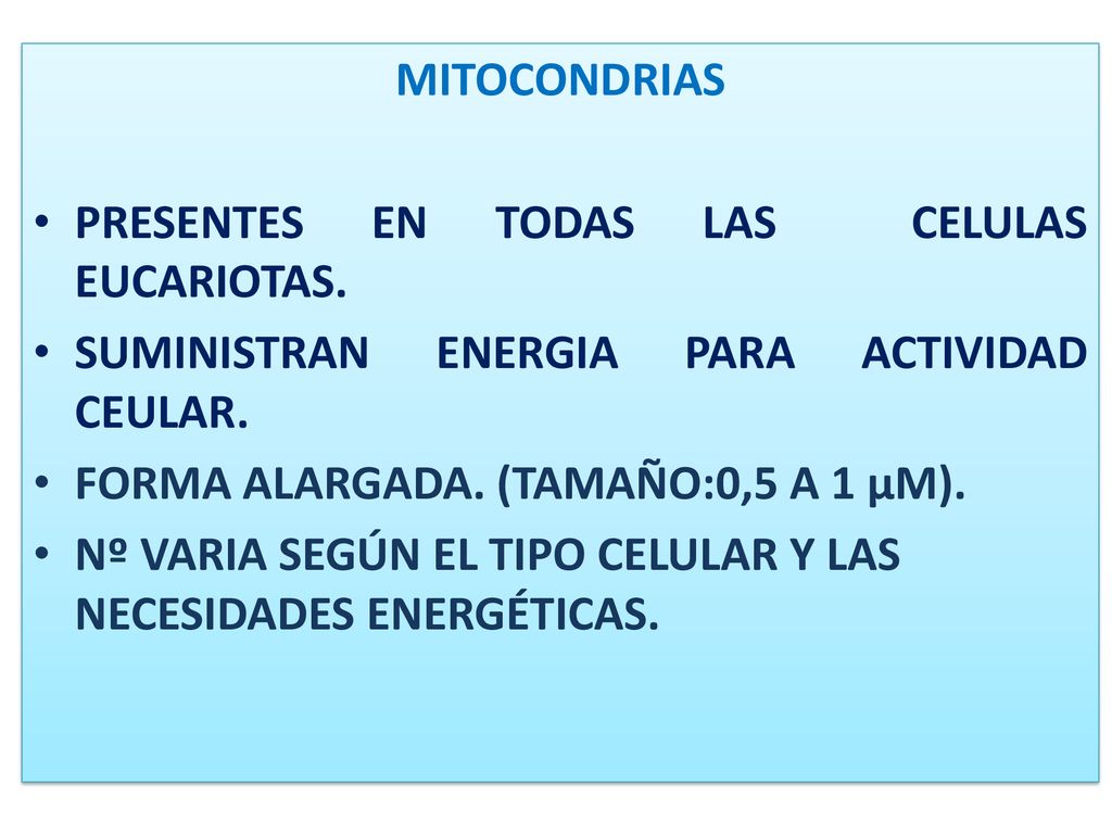 MITOCONDRIAS PRESENTES EN TODAS LAS CELULAS EUCARIOTAS. SUMINISTRAN ENERGIA PARA ACTIVIDAD CEULAR.