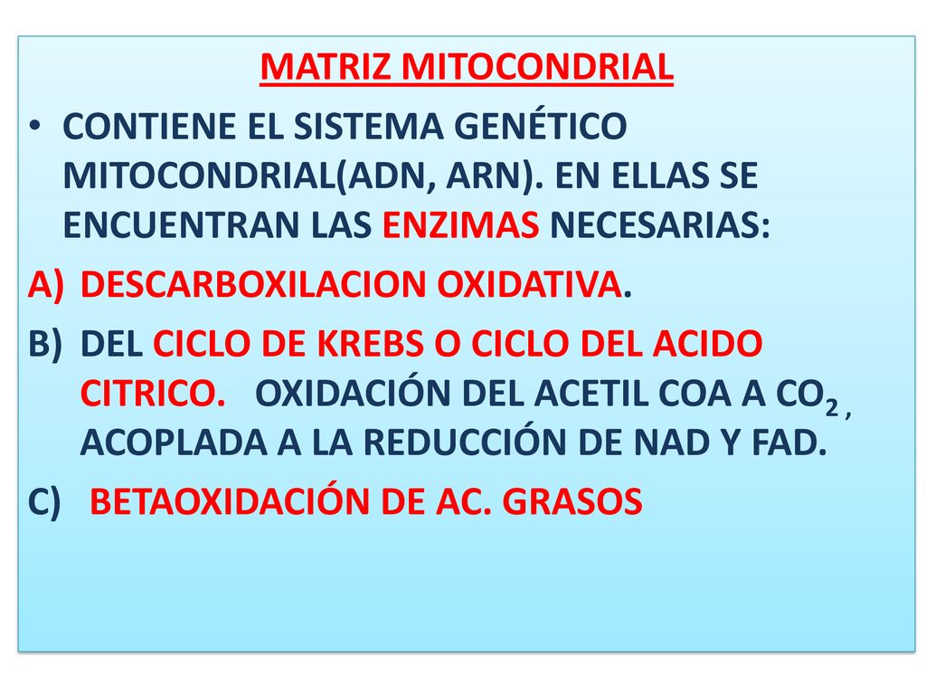 MATRIZ MITOCONDRIAL CONTIENE EL SISTEMA GENÉTICO MITOCONDRIAL(ADN, ARN). EN ELLAS SE ENCUENTRAN LAS ENZIMAS NECESARIAS:
