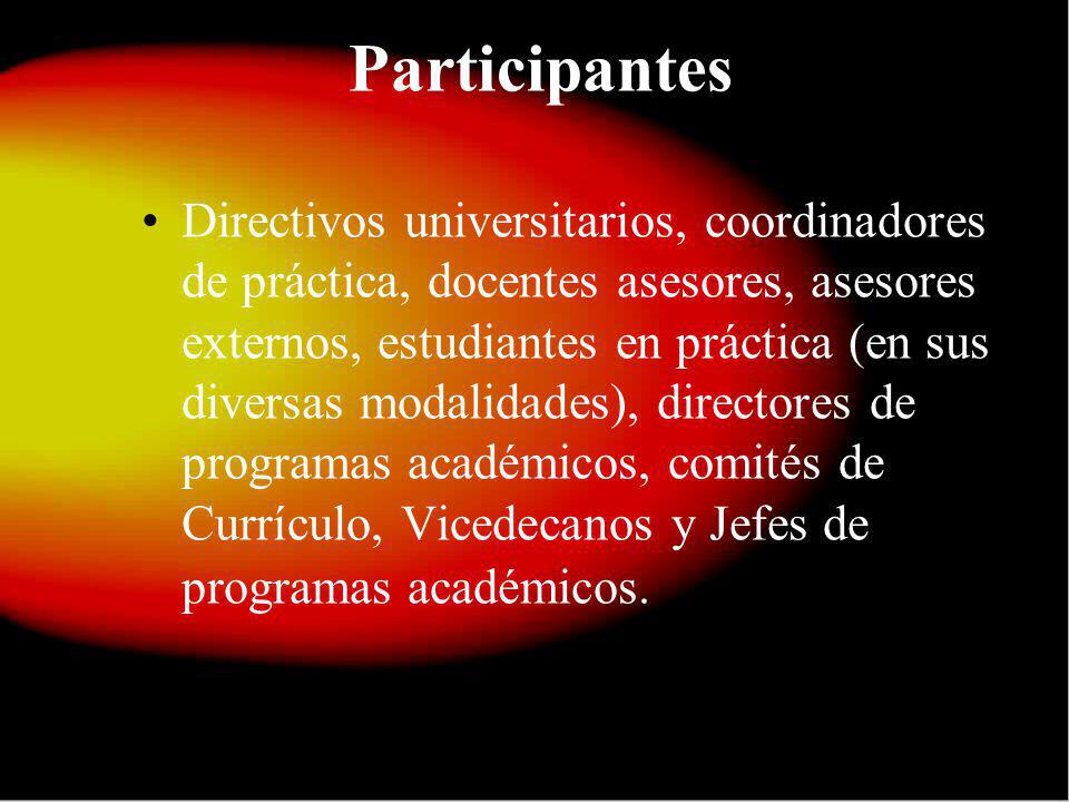Participantes