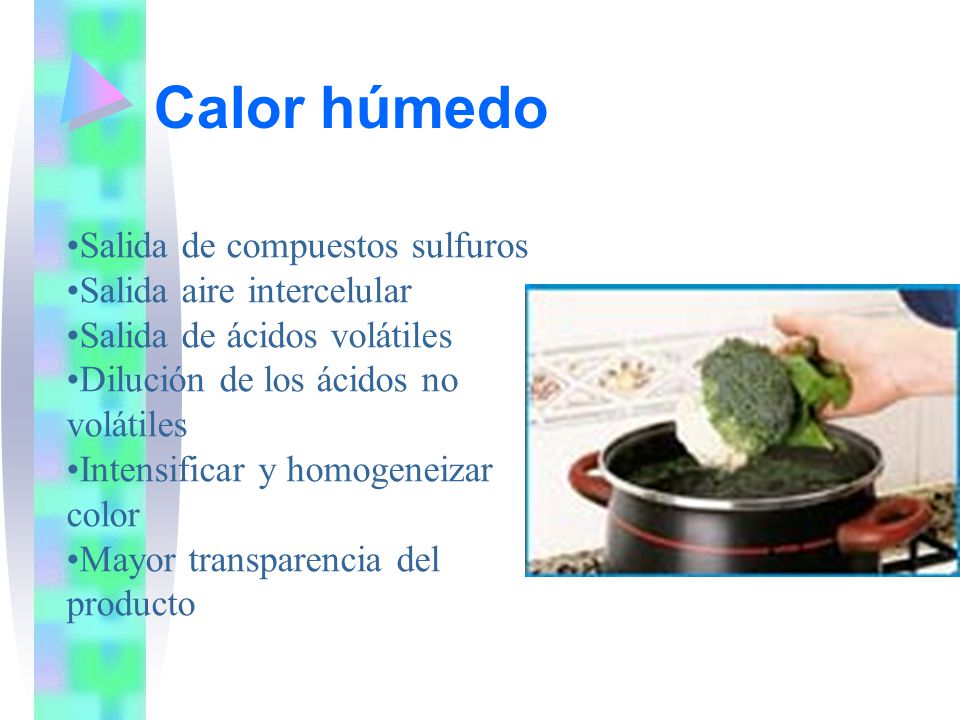 Calor húmedo Salida de compuestos sulfuros Salida aire intercelular