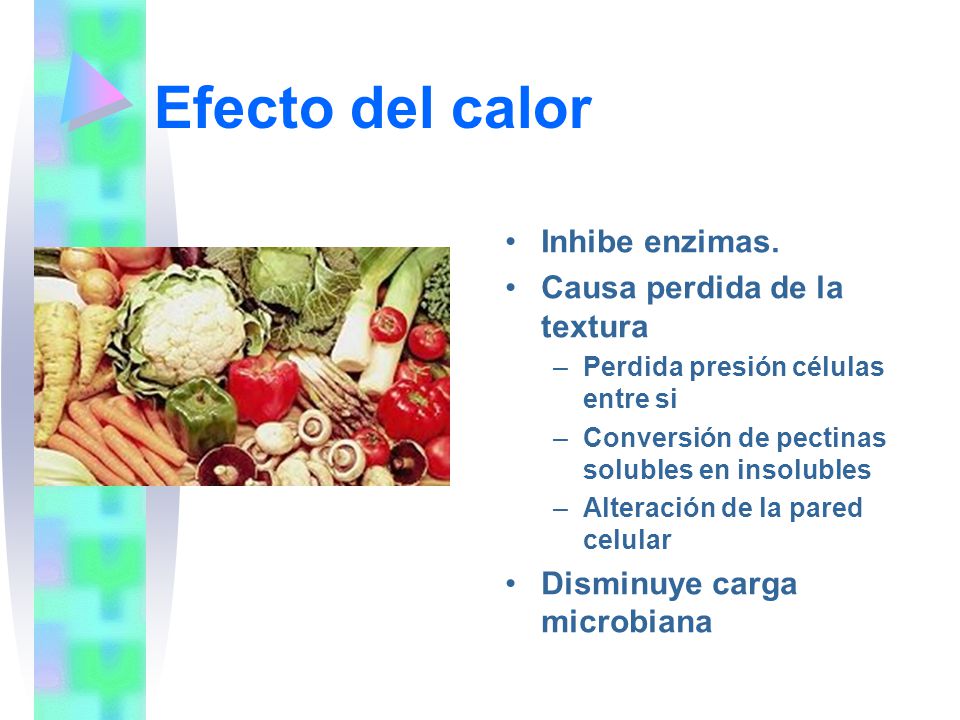 Efecto del calor Inhibe enzimas. Causa perdida de la textura