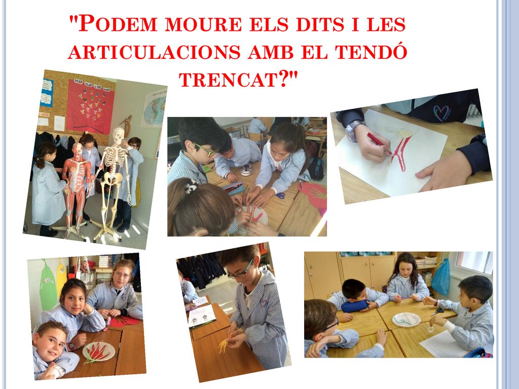 Podem moure els dits i les articulacions amb el tendó trencat