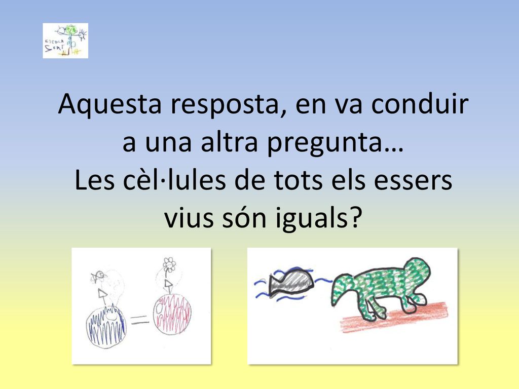 Aquesta resposta, en va conduir a una altra pregunta… Les cèl·lules de tots els essers vius són iguals