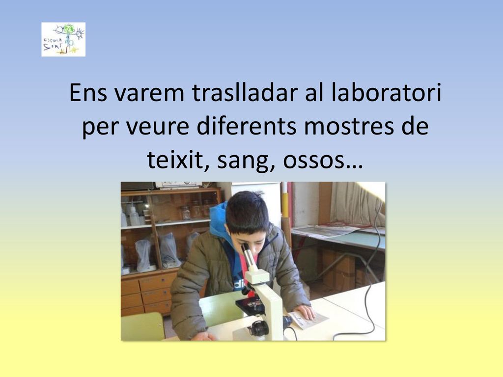 Ens varem traslladar al laboratori per veure diferents mostres de teixit, sang, ossos…
