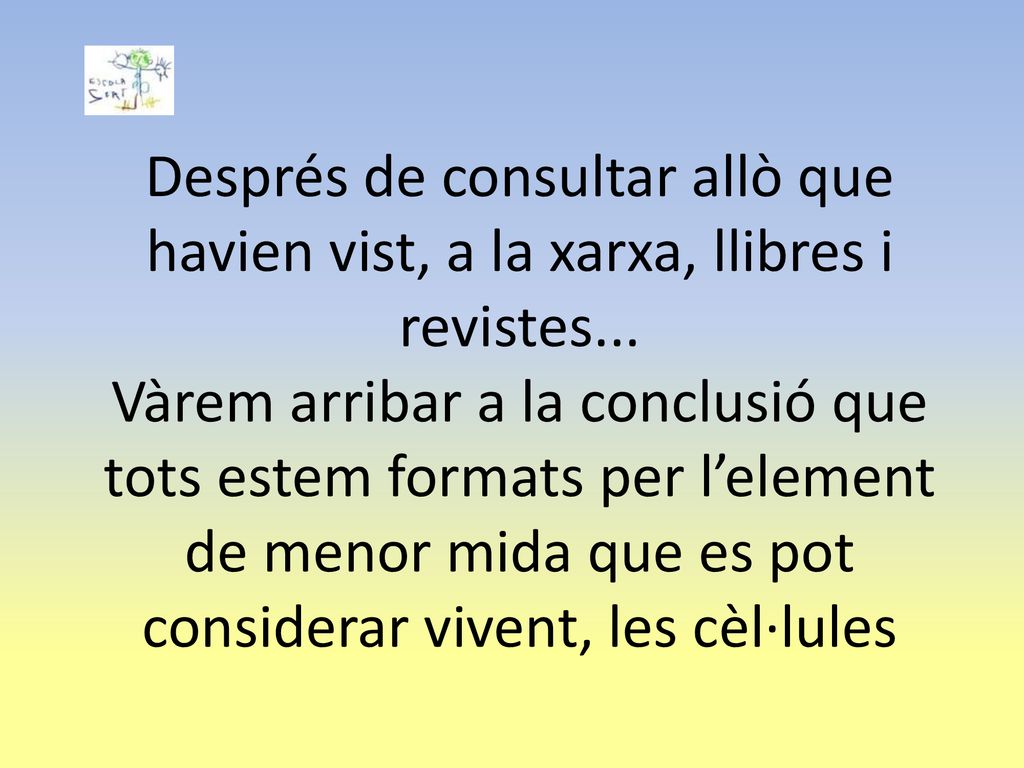 Després de consultar allò que havien vist, a la xarxa, llibres i revistes...