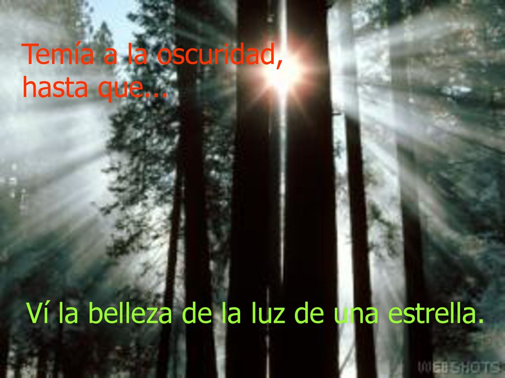 Temía a la oscuridad, hasta que... Ví la belleza de la luz de una estrella.