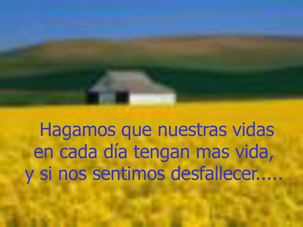 Hagamos que nuestras vidas en cada día tengan mas vida,