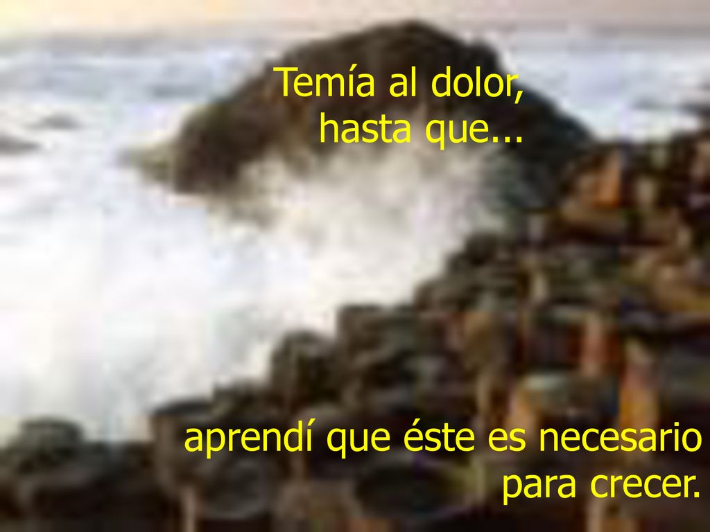Temía al dolor, hasta que... aprendí que éste es necesario para crecer.
