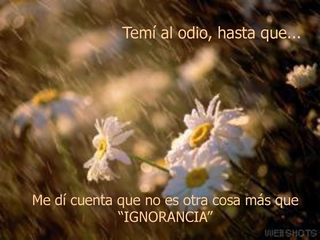 Me dí cuenta que no es otra cosa más que IGNORANCIA