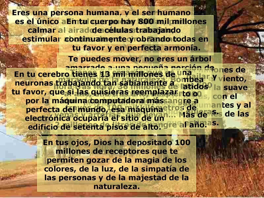 Eres una persona humana, y el ser humano es el único animal que puede hablar, para calmar al airado, animar al abatido, estimular al cobarde y decir... Te amo.