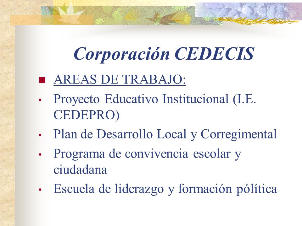 Corporación CEDECIS AREAS DE TRABAJO: