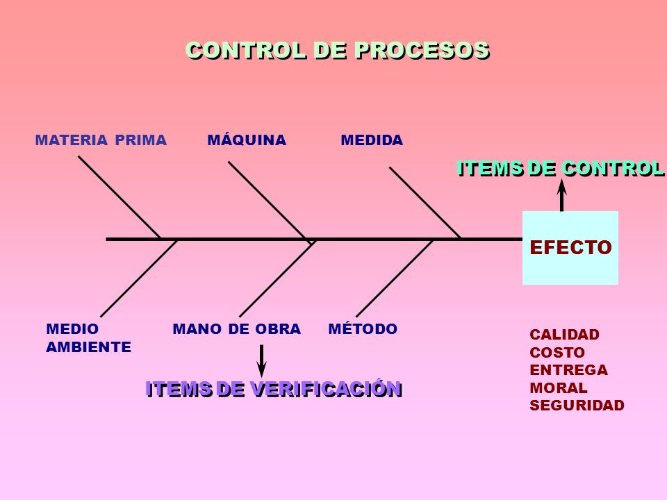 CONTROL DE PROCESOS ITEMS DE CONTROL EFECTO ITEMS DE VERIFICACIÓN