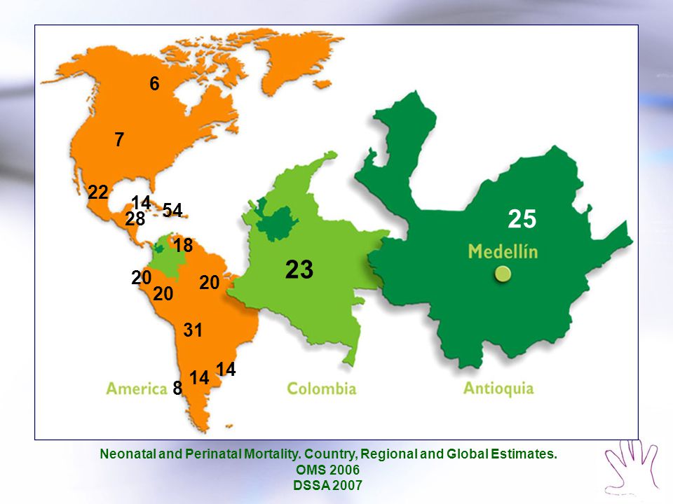 Neonatal and Perinatal Mortality. Country, Regional and Global Estimates.