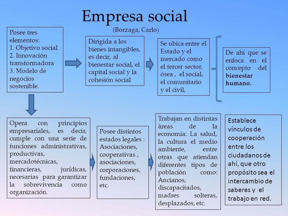 Empresa social (Borzaga, Carlo) Posee tres elementos: 1. Objetivo social. 2. Innovación transformadora.