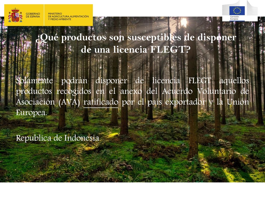 ¿Qué productos son susceptibles de disponer de una licencia FLEGT
